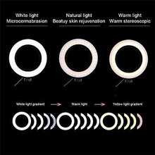 Load image into Gallery viewer, Studio Ring Light
