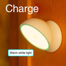 Load image into Gallery viewer, LED Mini Motion Light