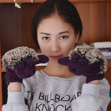 Load image into Gallery viewer, Hedgehog Mittens
